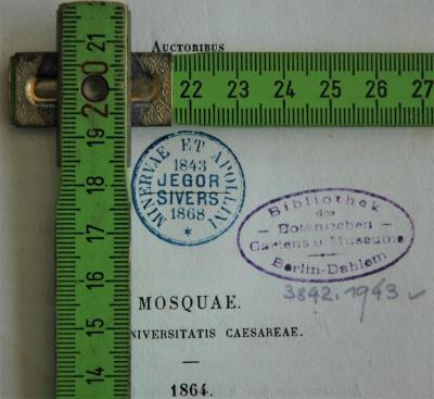 Stempel mit Maßen