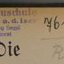 - (NSV-Gauschule Hochstadt a.d. Iser), Von Hand: Inventar-/ Zugangsnummer; '761/42   G 
R'. 