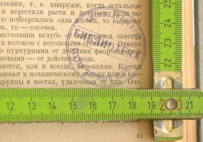 Stempel