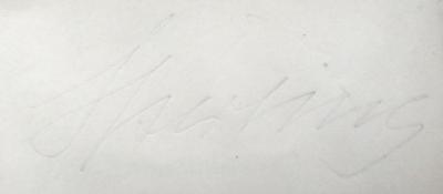 - (Stirting[?], [...]), Von Hand: Name; 'Stirting[?]'. 