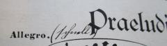 - (unbekannt;Salecker, [?]), Von Hand: Annotation; '(schnell)'. 