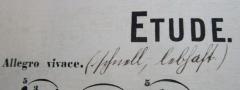 - (unbekannt;Salecker, [?]), Von Hand: Annotation; '(schnell, lebhaft.)'. 