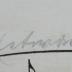 - (unbekannt;Salecker, [?]), Von Hand: Annotation; '(etwas lebhaft)'. 