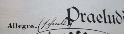 - (unbekannt;Salecker, [?]), Von Hand: Annotation; '(schnell)'. 
