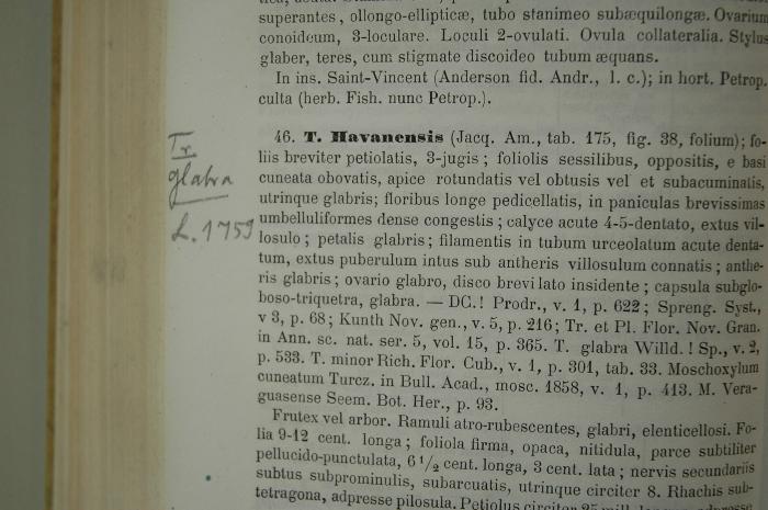 -, Von Hand: Notiz; 'Tr. glatra L. 1759'