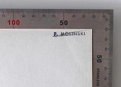 P. Molinski