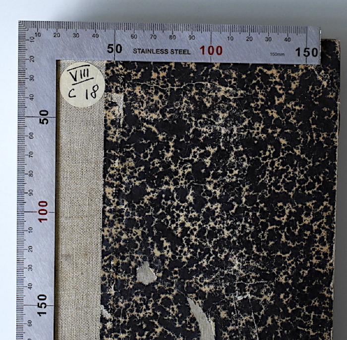 VIII C 18