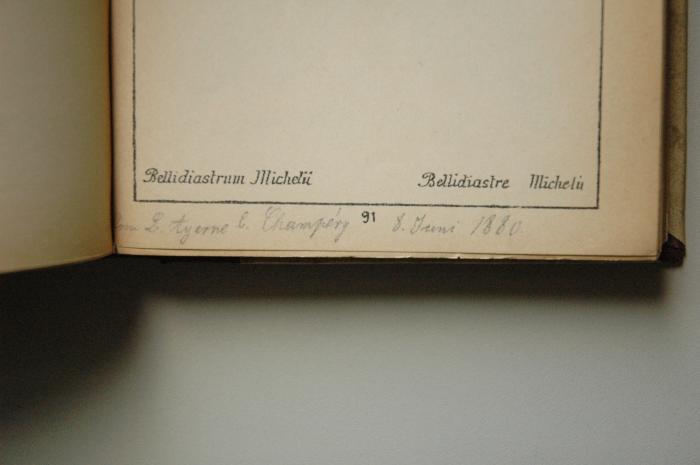-, Von Hand: Notiz; 'L. Ayerne B. Champèry 8. Juni 1880'