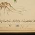 Seite 321 Stempel und Handschrift