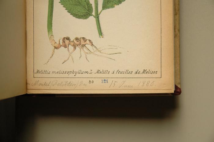 -, Stempel: Nummer; '321 Seitenzahlstempel ursprünglich Seite 80
322 Seitenzahlstempel ursprünglich Seite 8'