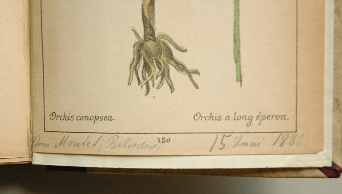 Detail Handschrift