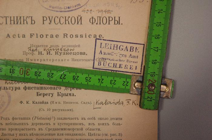 Detail