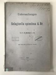  Untersuchungen über Selaginella spinulosa A. Br. (1897)