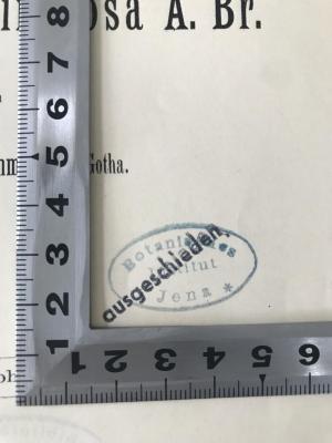 - (Botanisches Institut Jena), Stempel: Ortsangabe; 'Botanisches Institut Jena'.  (Prototyp)