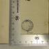-, Stempel: Name, Emblem; 'Biblioth: Sancti Mauritii Clarauali. CSPB' (Prototyp)