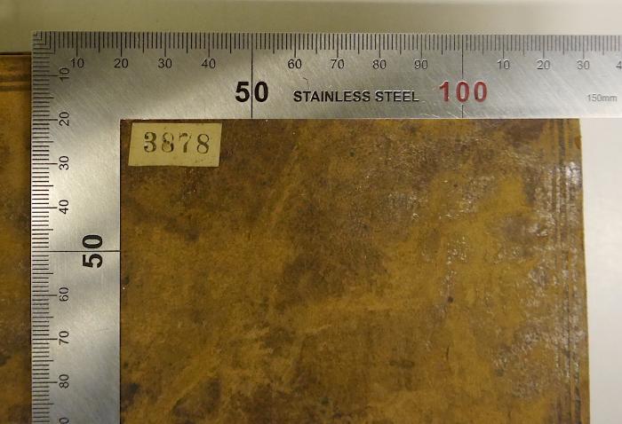 3878