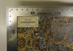SeminarII Culemburgensis S.J.