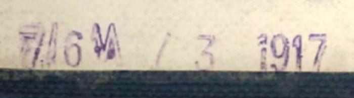 Stempel: "7/6 M / 3 1917" (hinterer Spiegel)