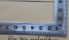 - (Tillinger, Tadeusz), Von Hand: Autor, Name, Notiz; 'Tillinger'. 