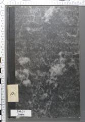 - (Jüdisches Zentralmuseum in Prag;Ältestenrat der Juden in Prag), Von Hand: Exemplarnummer; '89.057 [?]'. 