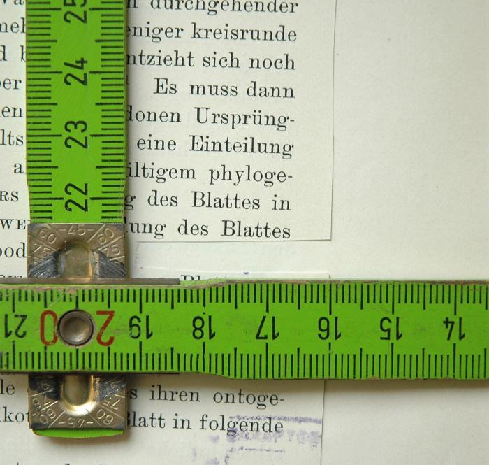 -, Ausschnitt: 
