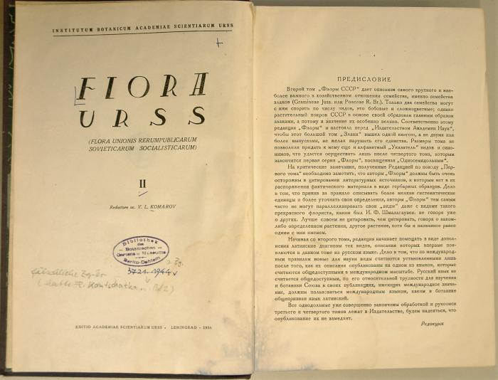 -, Ausriss: 