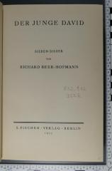 832.912 BEER  : Der Junge David : Sieben Bilder  (1933)