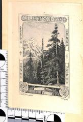 - (Herzog, W.;Protzen, O.), Etikett: Exlibris; 'EX LIBRIS W. HERZOG. '. 