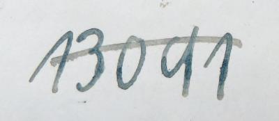 - (NSDAP-Gauarchiv und -museum Südhannover-Braunschweig), Von Hand: Signatur; '13091'. 