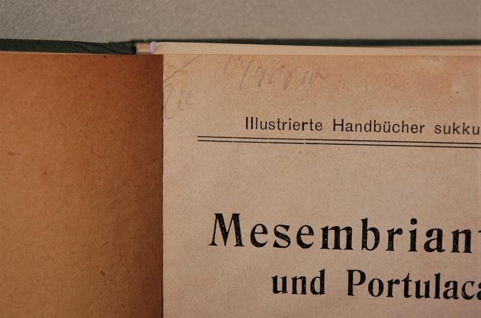 Detail