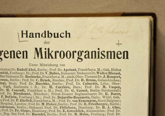 Detail