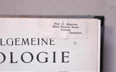 Detail