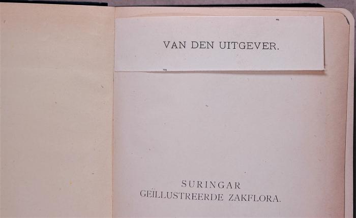 Detail