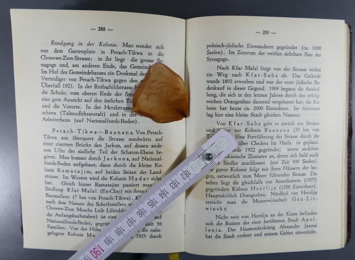 -, Sonstiges Objekt: ; '2 eingelegte Blütenblätter'