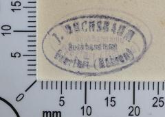 - (Buchsbaum, Ignatz), Stempel: Buchhändler; 'J. Buchsbaum 
Buchhandlung 
Oderfurt (Mähren)'.  (Prototyp)
