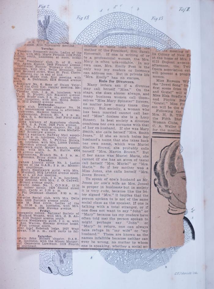 Zeitungsausschnitt