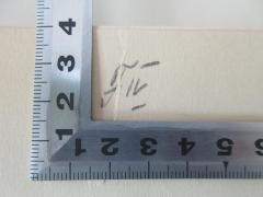 - (Verband für den Fernen Osten E.V.), Von Hand: Nummer; 'F IV'. 