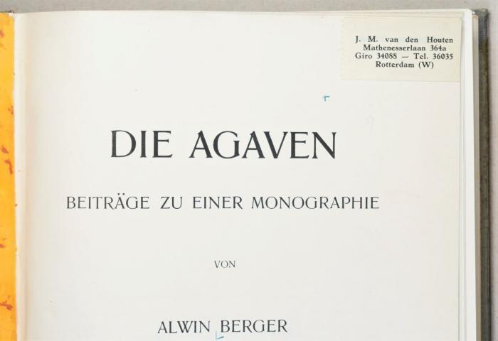 Detail