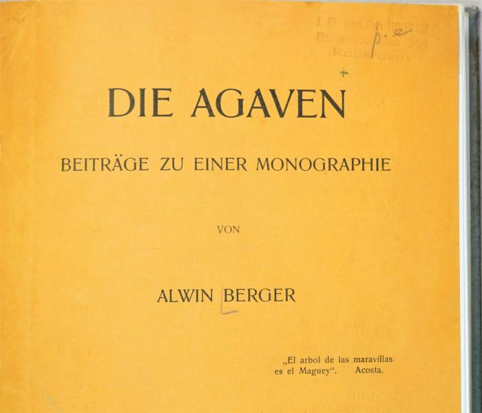 Detail