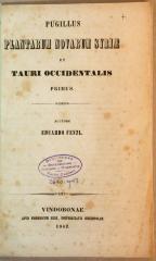 Titelbaltt