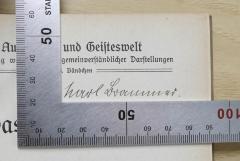 - (Brammer, Karl), Von Hand: Name, Autogramm; 'Karl Brammer'. 