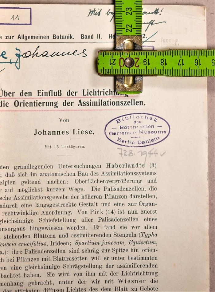 Stempel - Titelblatt rechts mit Maßen