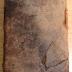 G 3154 :  	
C. Iulii Caesaris Commentarii de bello Gallico et civili: cum utriusque suppl. ab A. Hirtio vel Oppio ...  (1726)