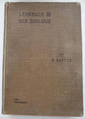 X 4161 Ers.: Lehrbuch der Zoologie (1902)