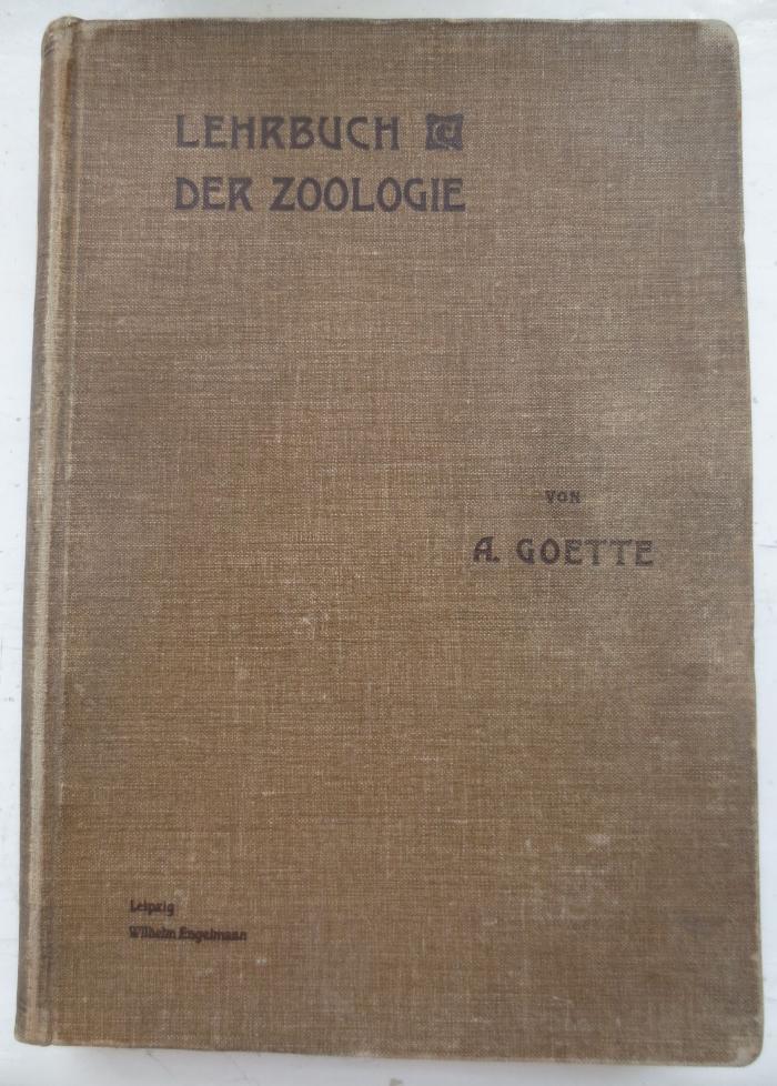 X 4161 Ers.: Lehrbuch der Zoologie (1902)
