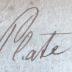 Z 4767 : Opera Omnia ex recensione Iacobi Gronovii : Accedit Varietas Lectionis Pearcianae, Graevianae, Davisianae cum singulorum librorum Argvmentis et Indice Rervm Historico Verborvmque Philologico-Critico (1737)