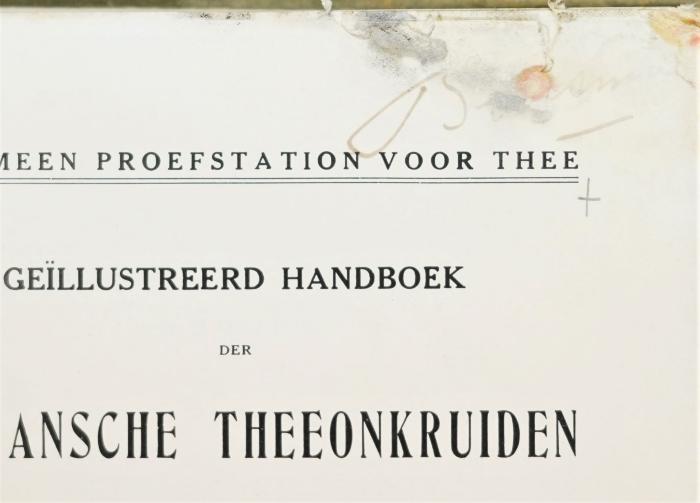 Detail