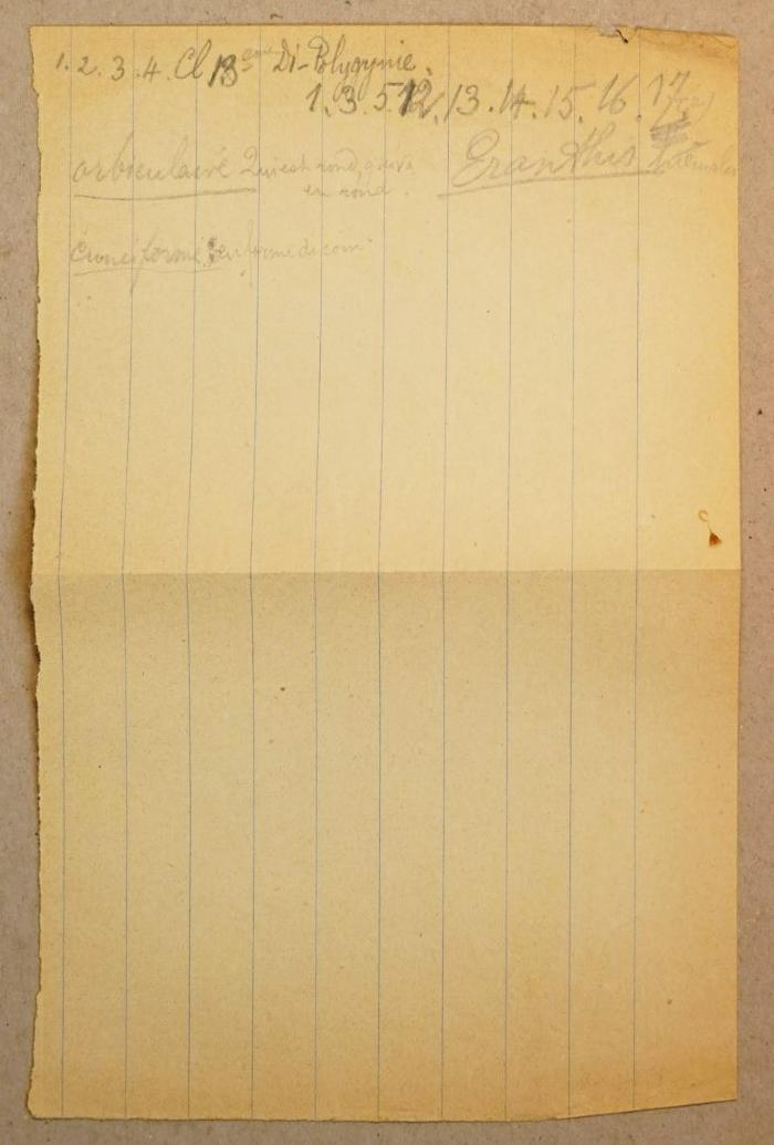 -, Von Hand: Notiz; '[?]'