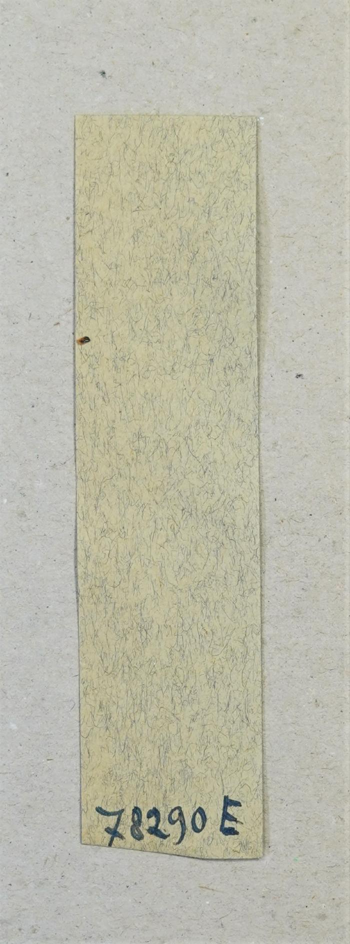 Detail vorne
