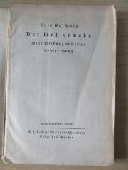 P 827 &lt; 2 &gt; : Der Massenwahn seine Wirkung und seine Beherrschung (1922)